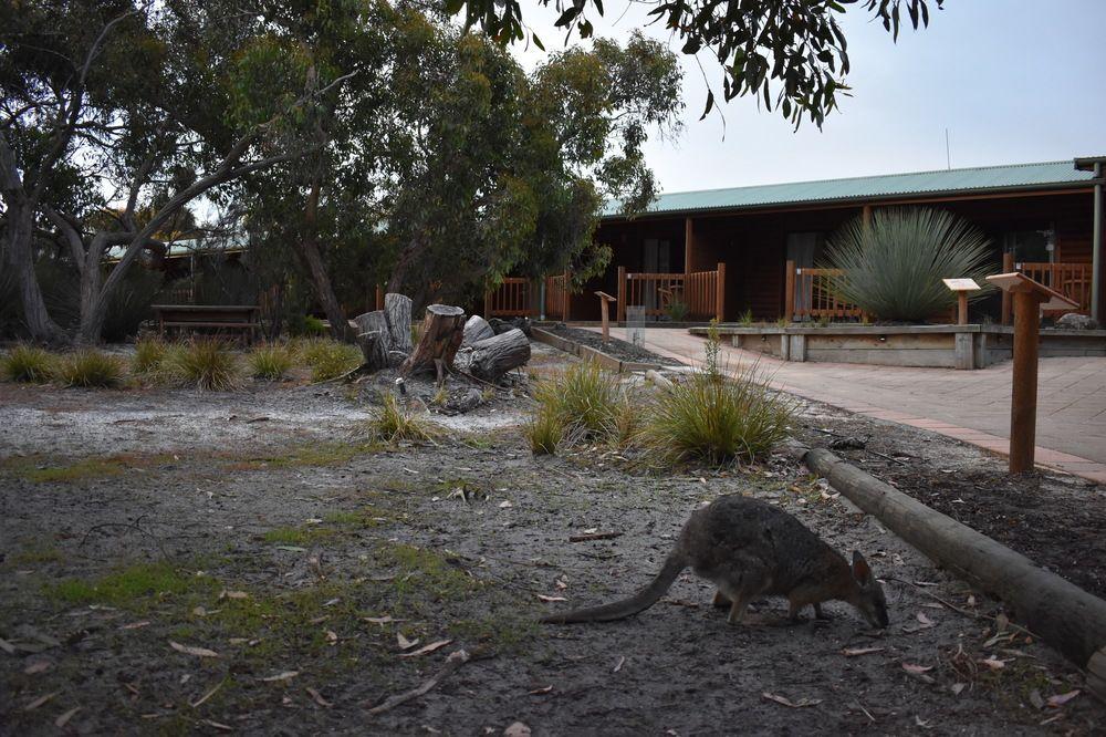 Kangaroo Island Wilderness Retreat Flinders Chase Luaran gambar