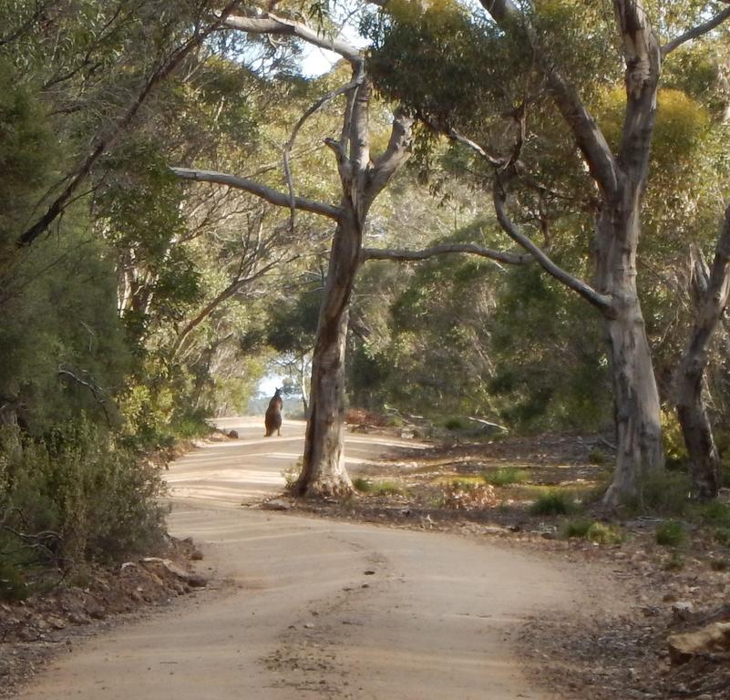 Kangaroo Island Wilderness Retreat Flinders Chase Luaran gambar