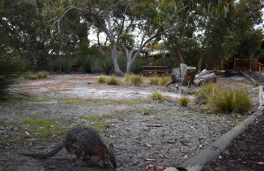 Kangaroo Island Wilderness Retreat Flinders Chase Luaran gambar