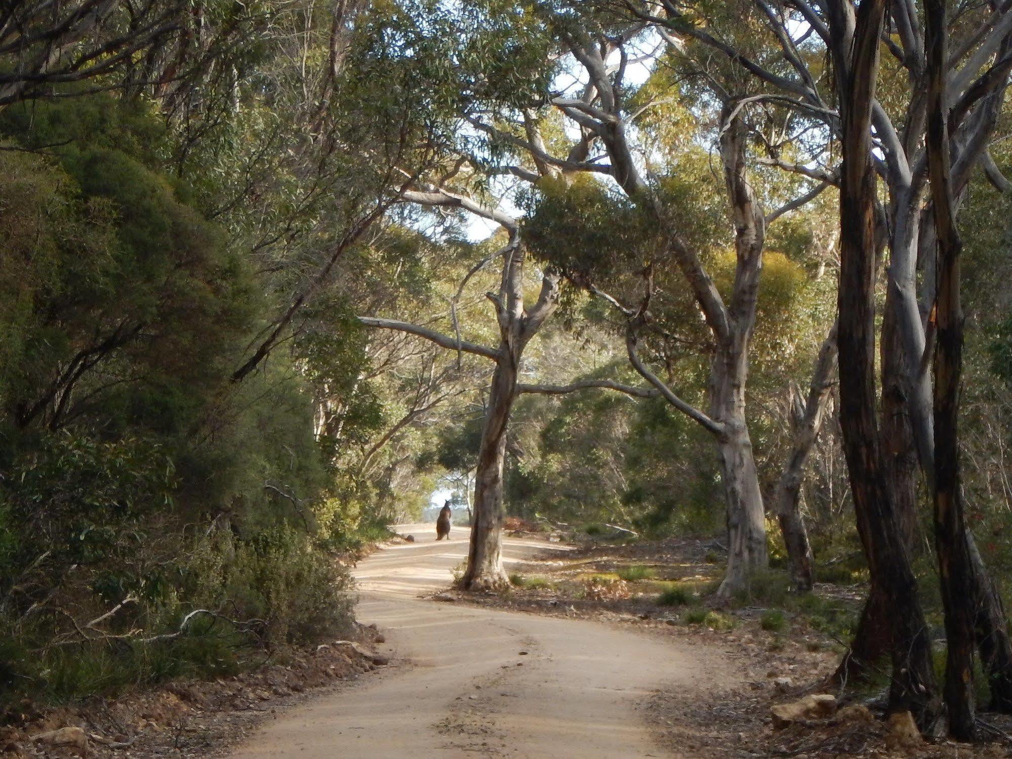 Kangaroo Island Wilderness Retreat Flinders Chase Luaran gambar