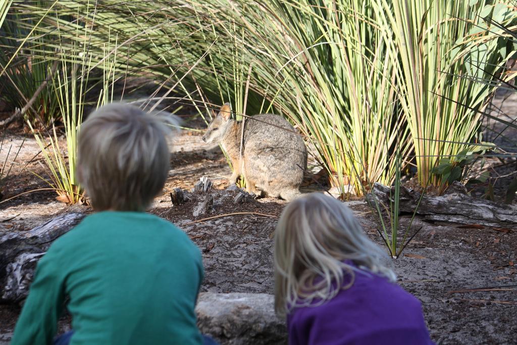 Kangaroo Island Wilderness Retreat Flinders Chase Luaran gambar